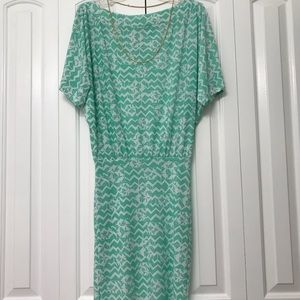 Green White Summer Stretch Dress
